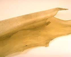 MULE DEER SKIN
