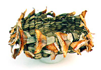DRACENA DRACO LEAVES - 1 doz.