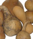 JEWELRY GOURD